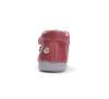 D.D.step S066-52842B Raspberry