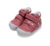 D.D.step S066-52842B Raspberry